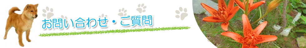 お問い合わせ・ご質問