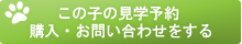 豆柴子犬各種お問い合わせ