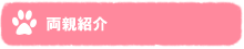 両親紹介