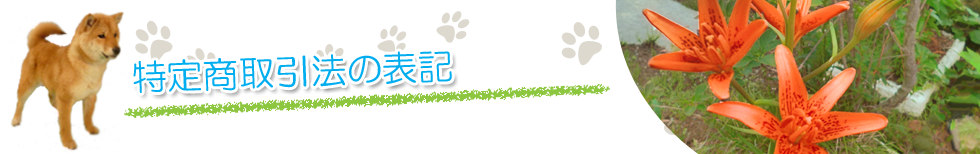 特定商取引法の表記